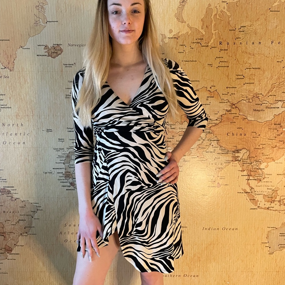 Zebra Wrap Dress